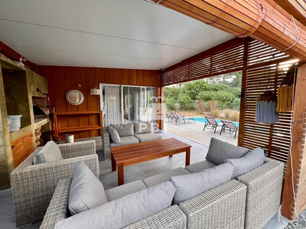 Chihuahua - GoPunta - Portal Inmobiliario de Punta del Este - Maldonado