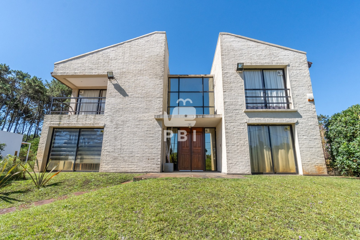 Chihuahua - GoPunta - Portal Inmobiliario de Punta del Este - Maldonado