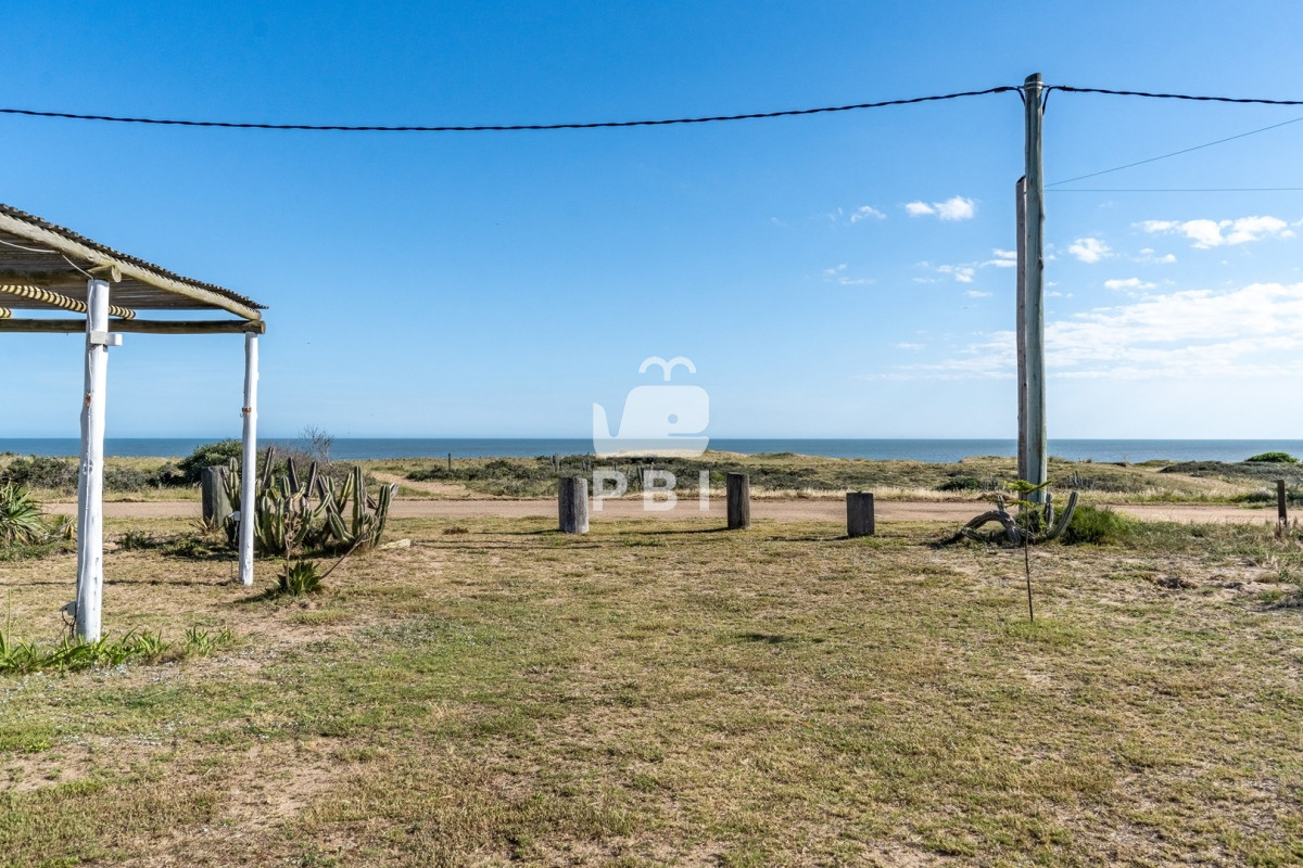 Sauce de Portezuelo - GoPunta - Portal Inmobiliario de Punta del Este - Maldonado