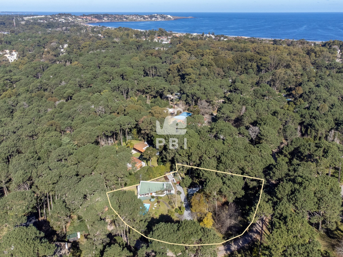 Portezuelo Bosque - GoPunta - Portal Inmobiliario de Punta del Este - Maldonado