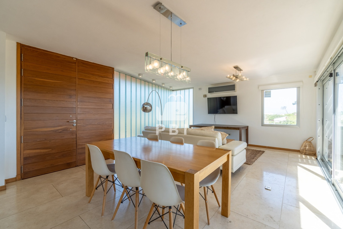 Chihuahua - GoPunta - Portal Inmobiliario de Punta del Este - Maldonado