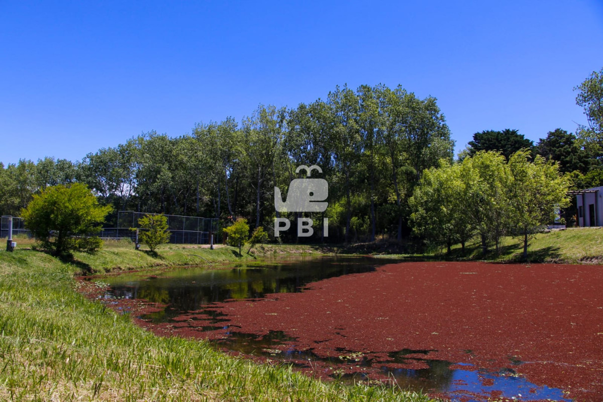 Q2FzYSAyIERPUk1JVE9SSU9TIGVuIFZlcmRlbW9yYSwgUHVudGEgQmFsbGVuYSwgTWFsZG9uYWRvIC0gUmVmIDogUEJJMjg1Ng==