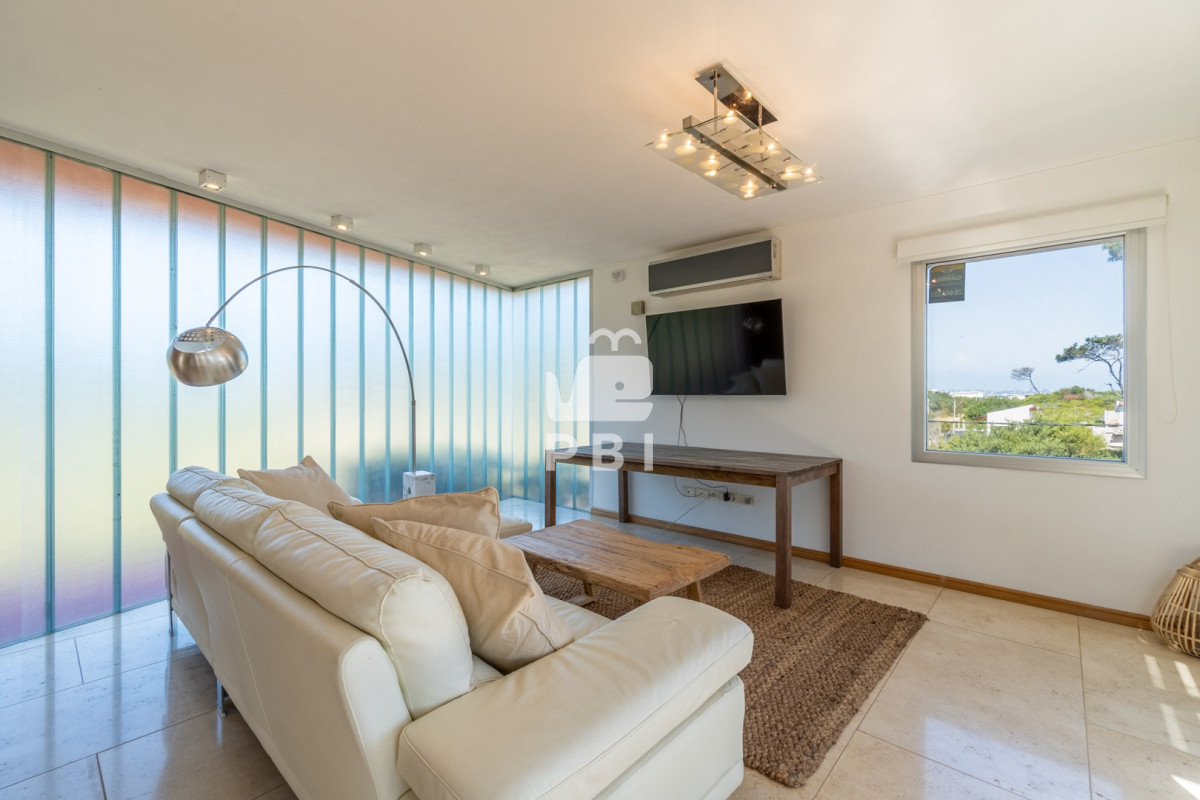 Chihuahua - GoPunta - Portal Inmobiliario de Punta del Este - Maldonado