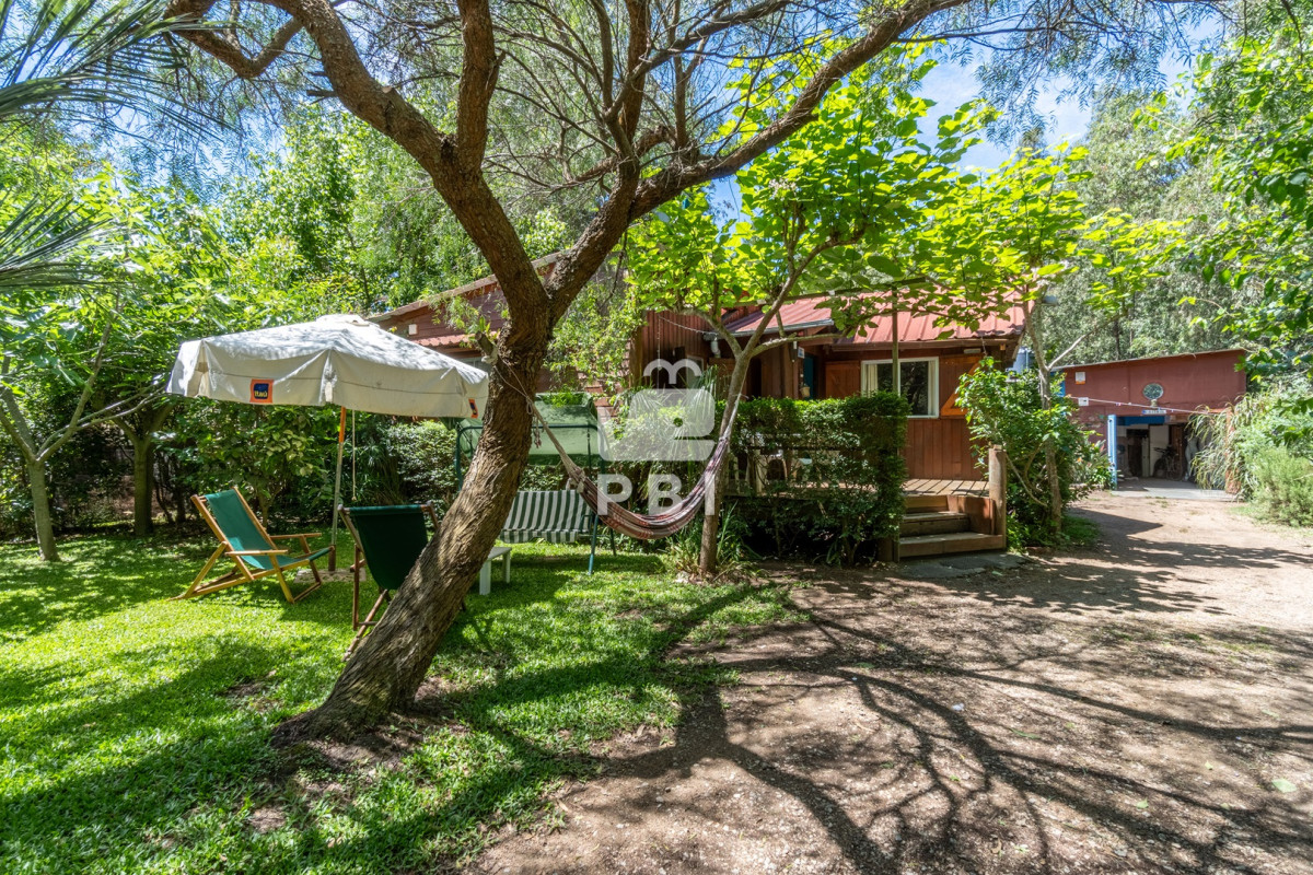 Sauce de Portezuelo - GoPunta - Portal Inmobiliario de Punta del Este - Maldonado