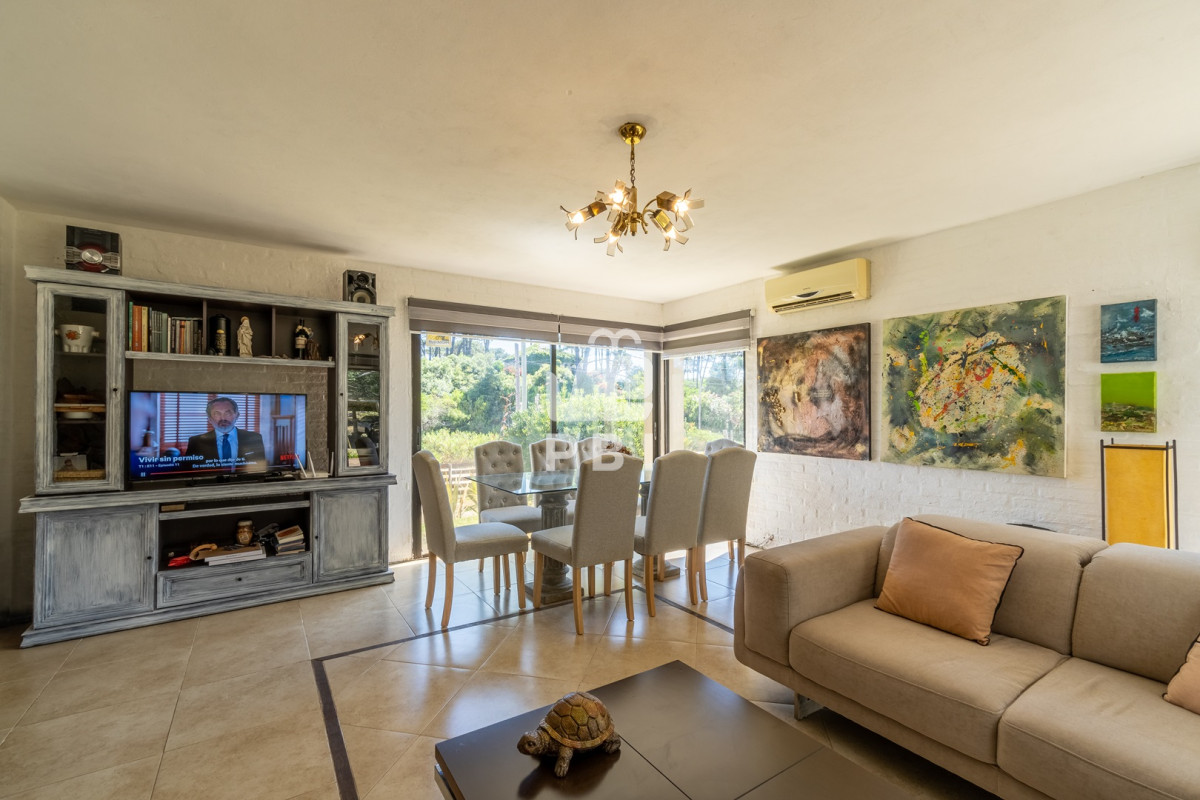 Chihuahua - GoPunta - Portal Inmobiliario de Punta del Este - Maldonado