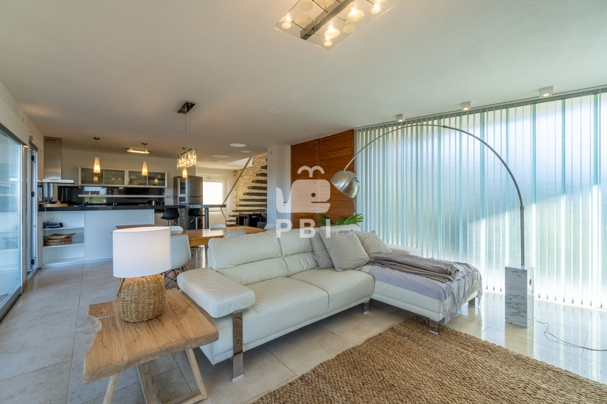 Chihuahua - GoPunta - Portal Inmobiliario de Punta del Este - Maldonado