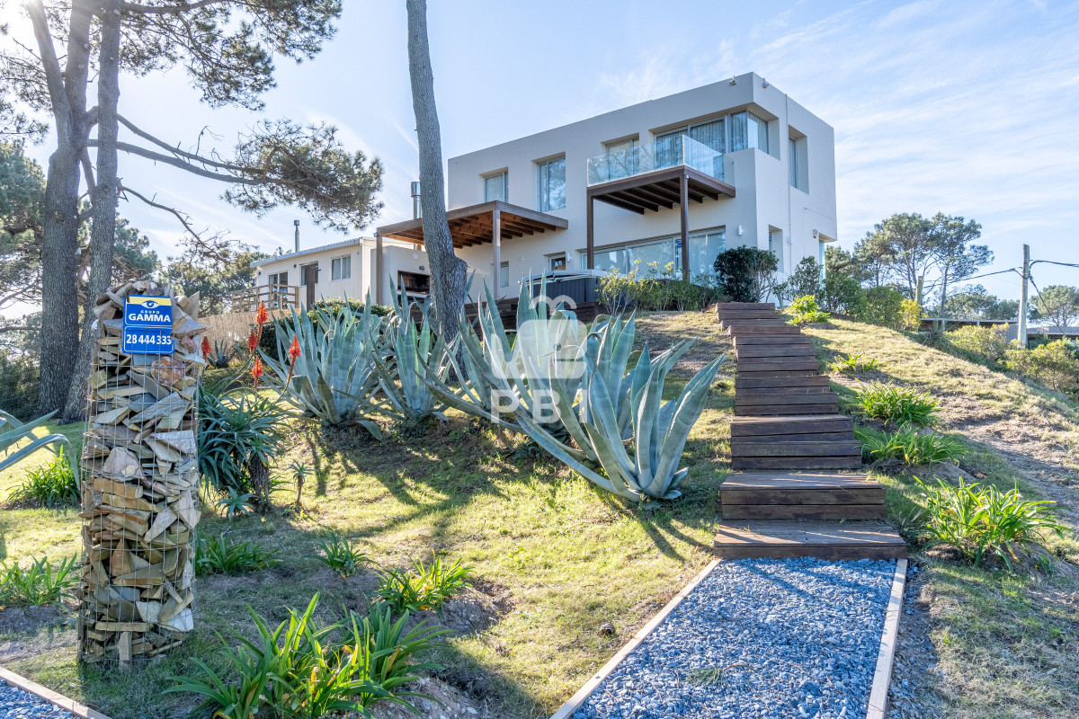 Chihuahua - GoPunta - Portal Inmobiliario de Punta del Este - Maldonado