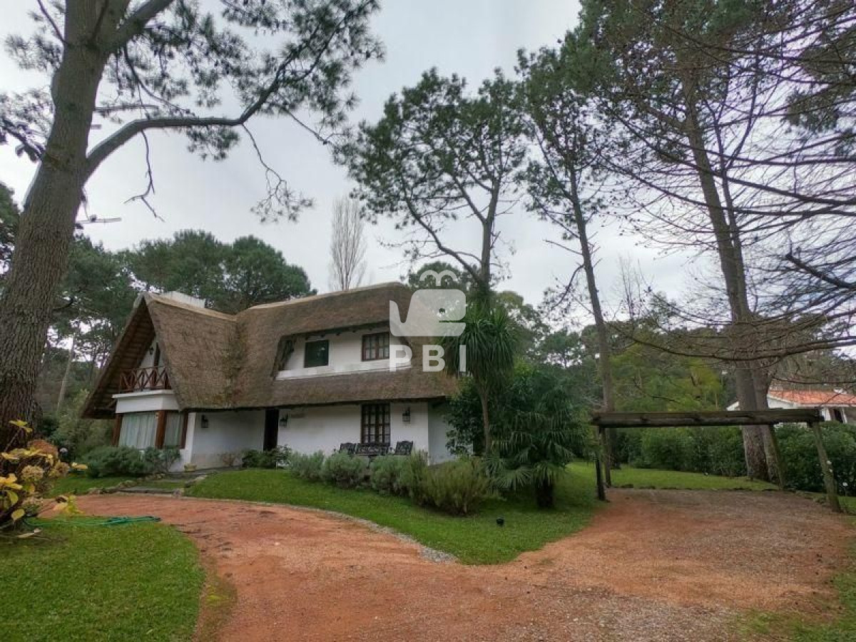 Portezuelo Bosque - GoPunta - Portal Inmobiliario de Punta del Este - Maldonado