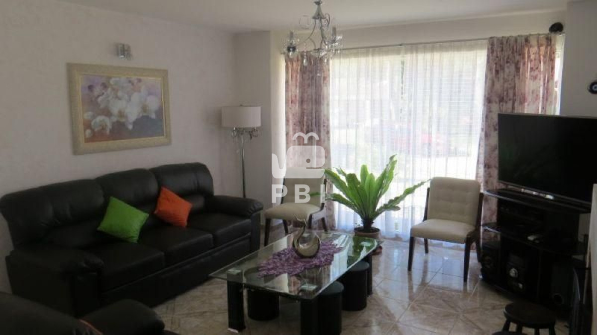 Tio Tom - GoPunta - Portal Inmobiliario de Punta del Este - Maldonado