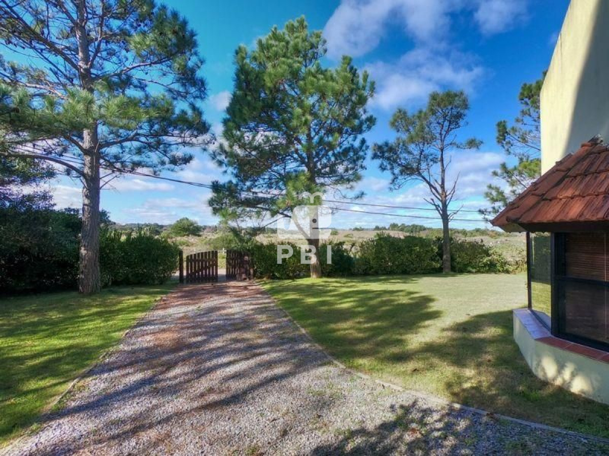 Tio Tom - GoPunta - Portal Inmobiliario de Punta del Este - Maldonado