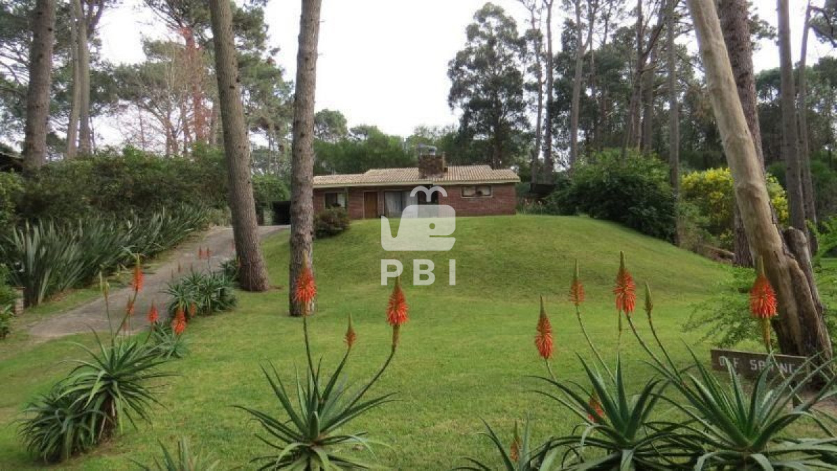 Portezuelo Bosque - GoPunta - Portal Inmobiliario de Punta del Este - Maldonado