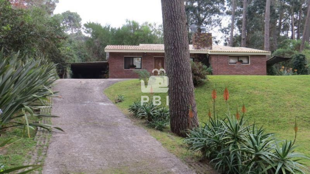 Portezuelo Bosque - GoPunta - Portal Inmobiliario de Punta del Este - Maldonado