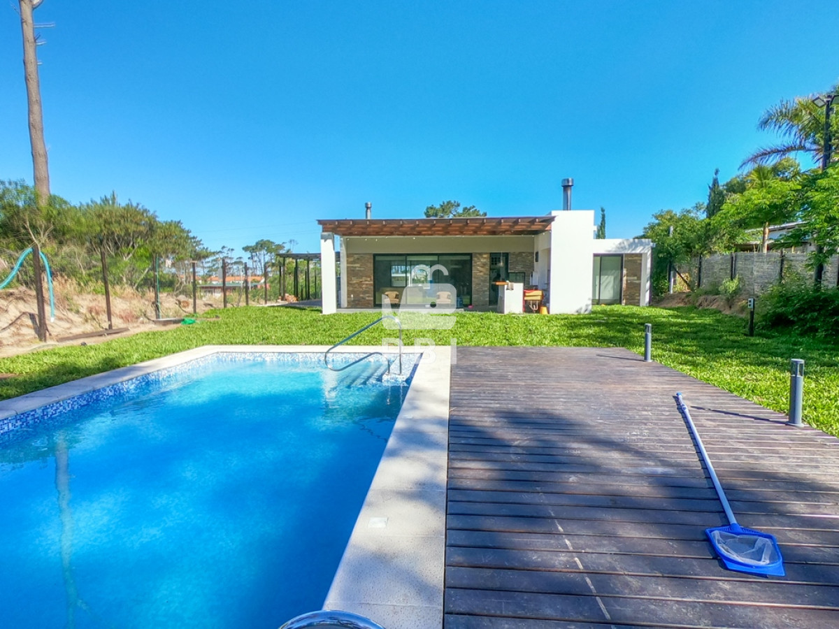 Chihuahua - GoPunta - Portal Inmobiliario de Punta del Este - Maldonado