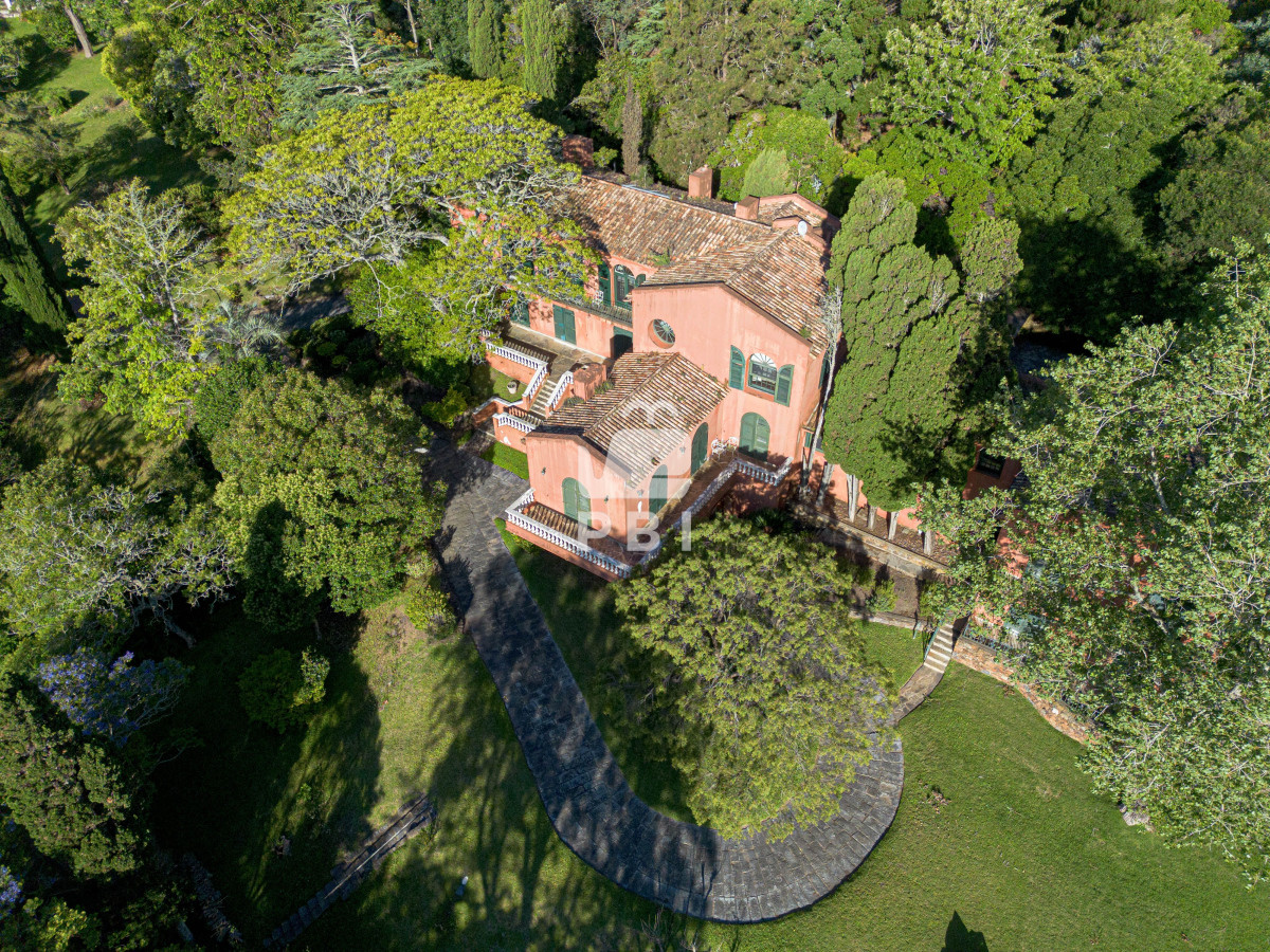 Punta Ballena - GoPunta - Portal Inmobiliario de Punta del Este - Maldonado