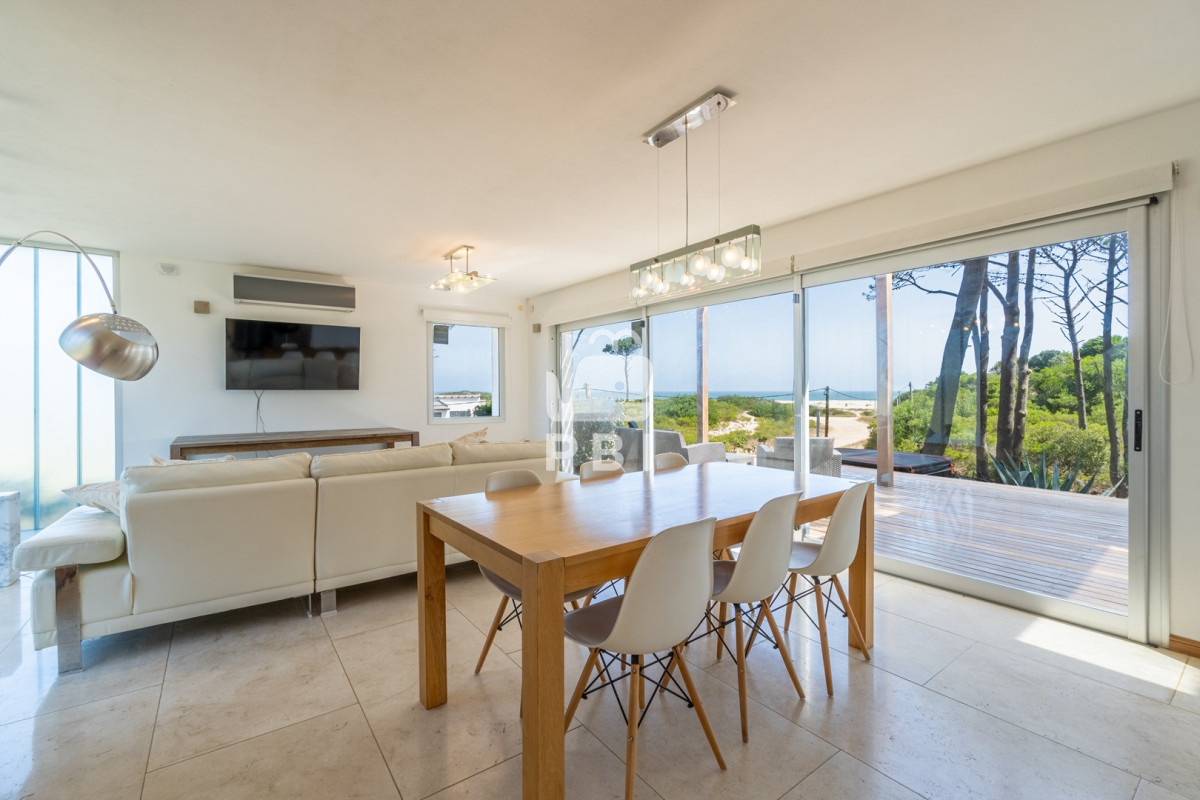 Chihuahua - GoPunta - Portal Inmobiliario de Punta del Este - Maldonado