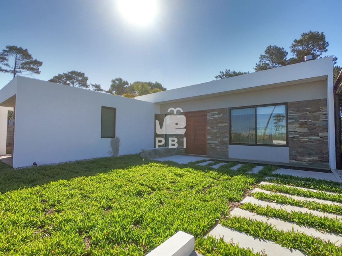 Chihuahua - GoPunta - Portal Inmobiliario de Punta del Este - Maldonado