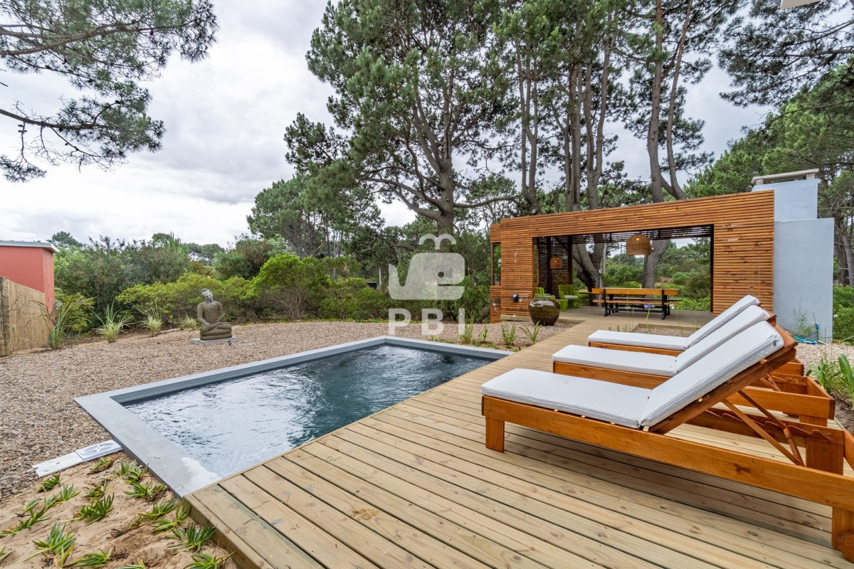 Chihuahua - GoPunta - Portal Inmobiliario de Punta del Este - Maldonado