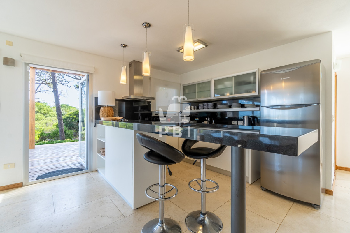 Chihuahua - GoPunta - Portal Inmobiliario de Punta del Este - Maldonado