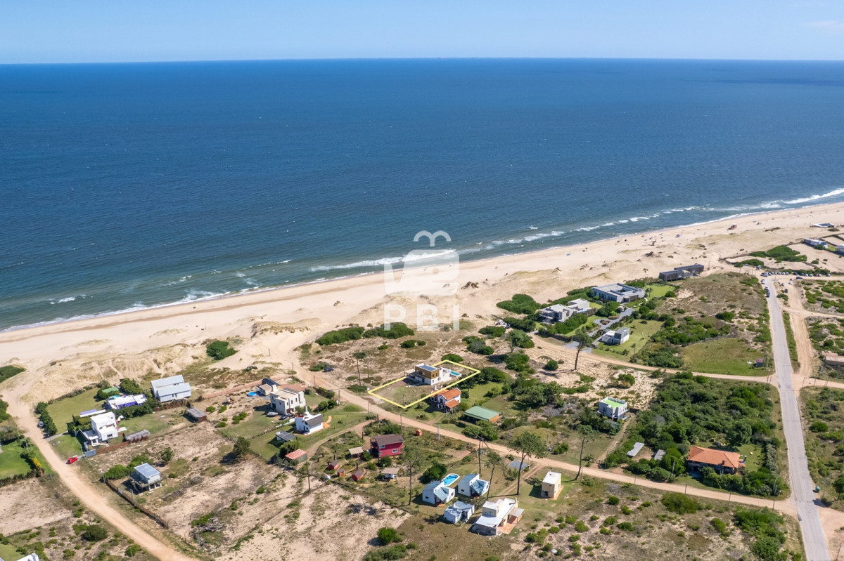 Chihuahua - GoPunta - Portal Inmobiliario de Punta del Este - Maldonado