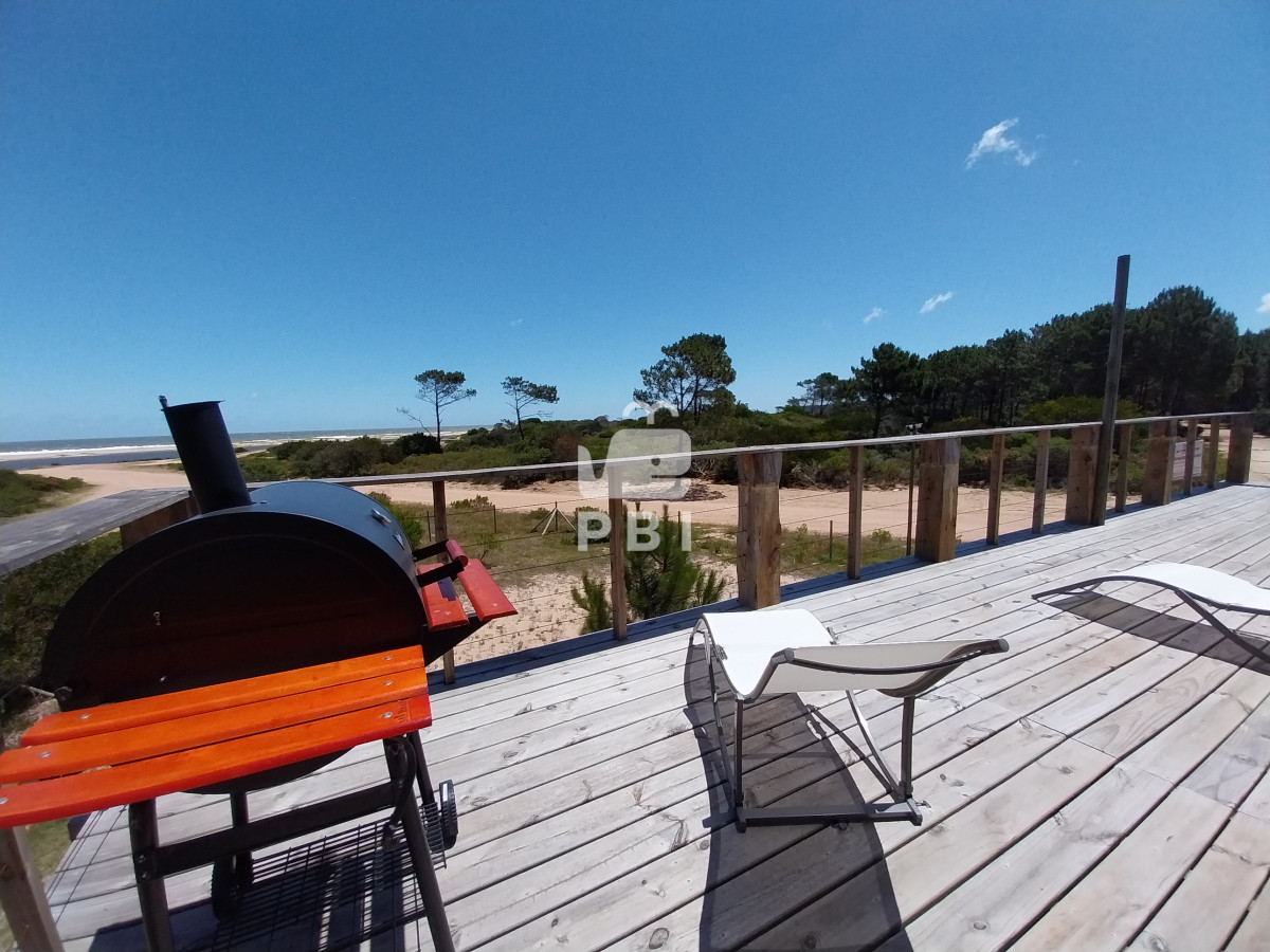 Chihuahua - GoPunta - Portal Inmobiliario de Punta del Este - Maldonado