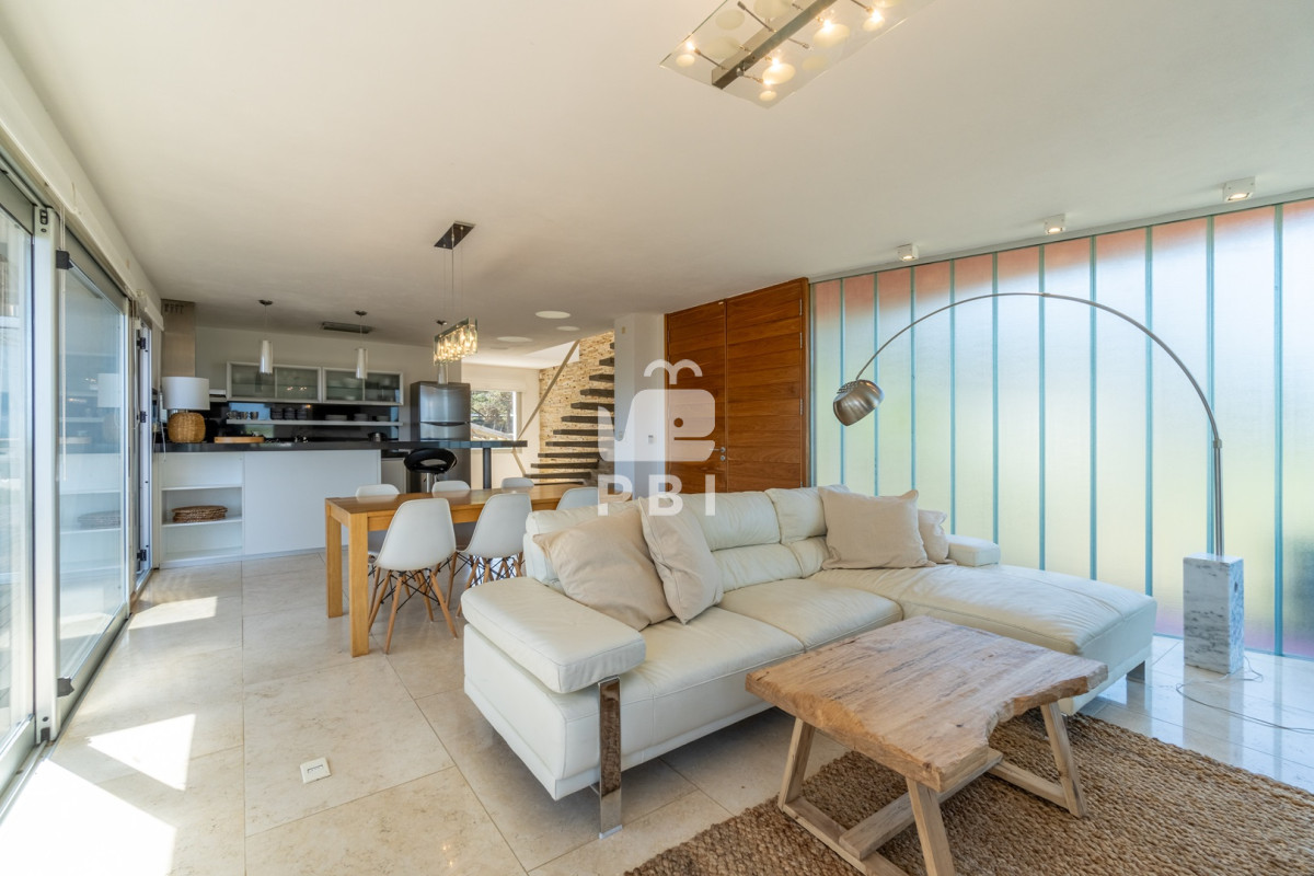 Chihuahua - GoPunta - Portal Inmobiliario de Punta del Este - Maldonado