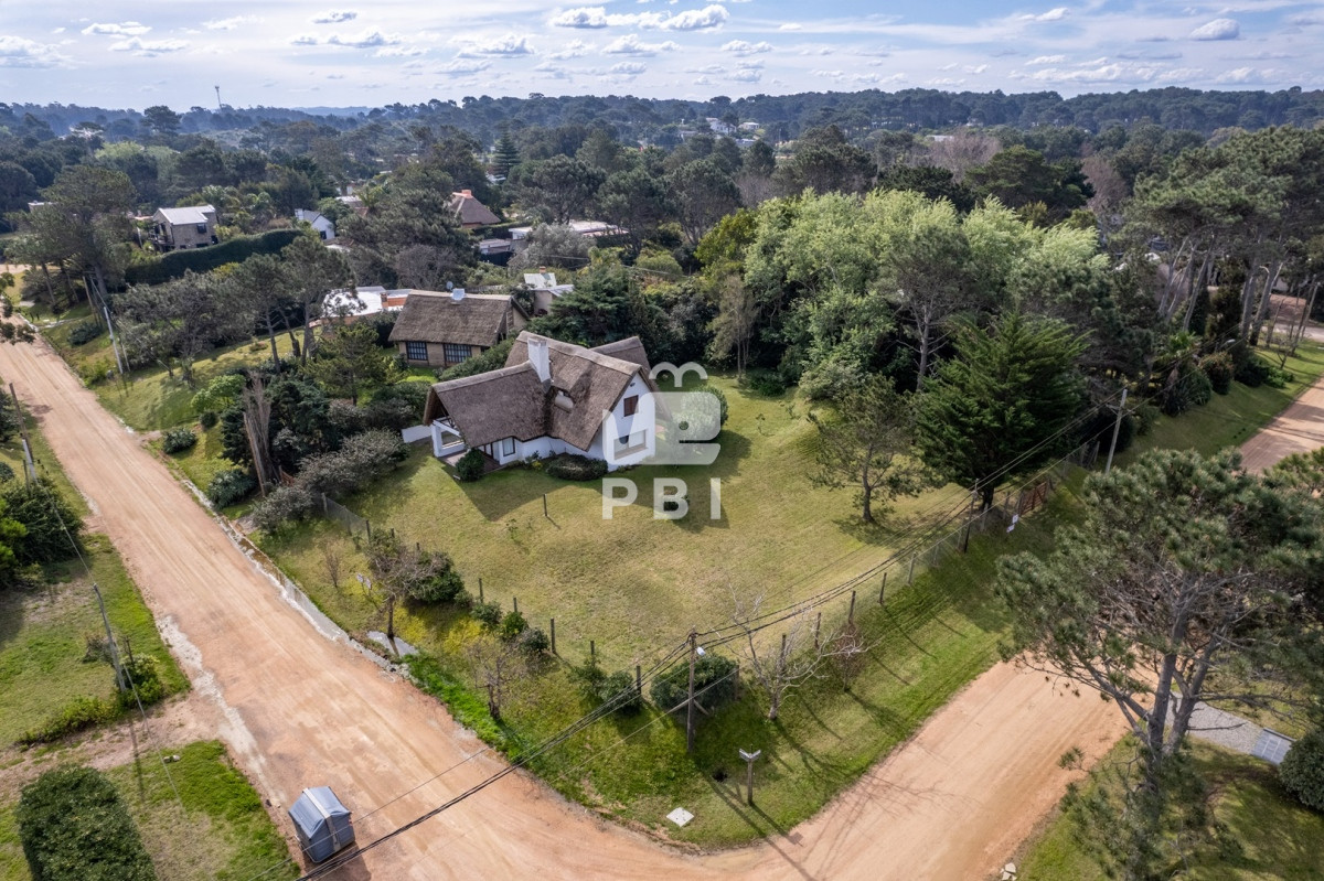 Tio Tom - GoPunta - Portal Inmobiliario de Punta del Este - Maldonado