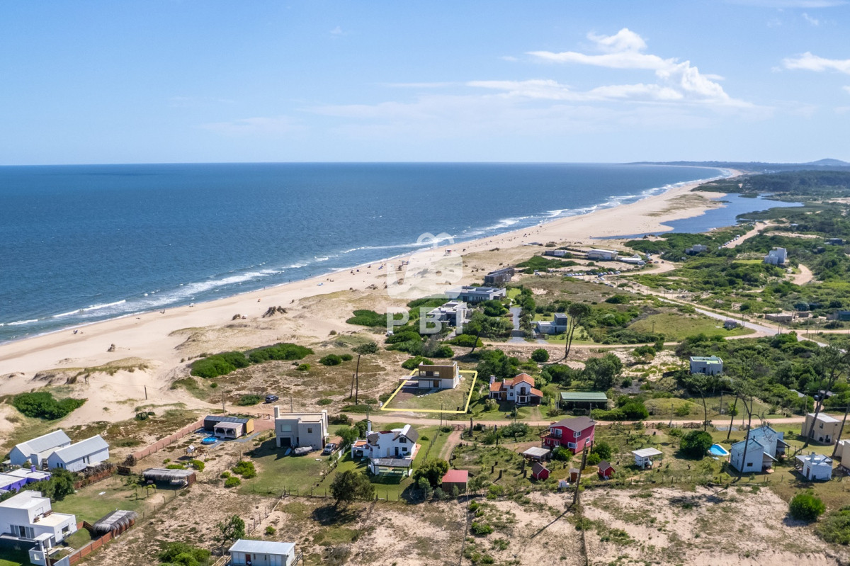 Chihuahua - GoPunta - Portal Inmobiliario de Punta del Este - Maldonado