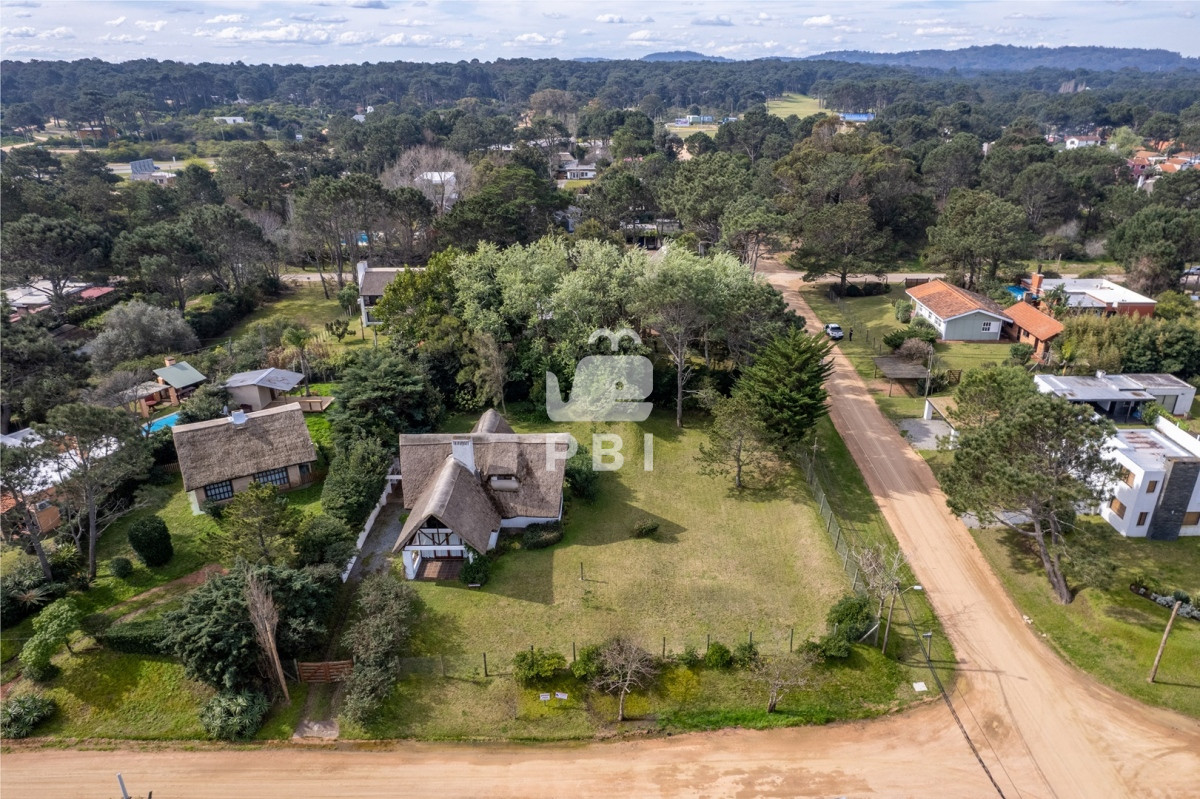 Tio Tom - GoPunta - Portal Inmobiliario de Punta del Este - Maldonado