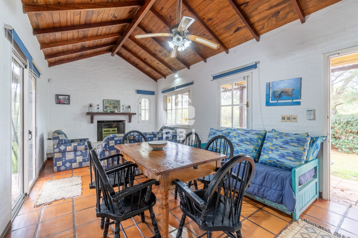 Tio Tom - GoPunta - Portal Inmobiliario de Punta del Este - Maldonado
