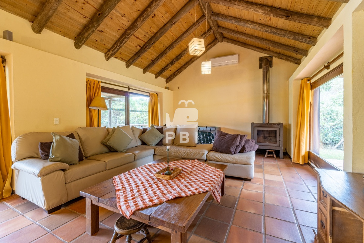 Tio Tom - GoPunta - Portal Inmobiliario de Punta del Este - Maldonado