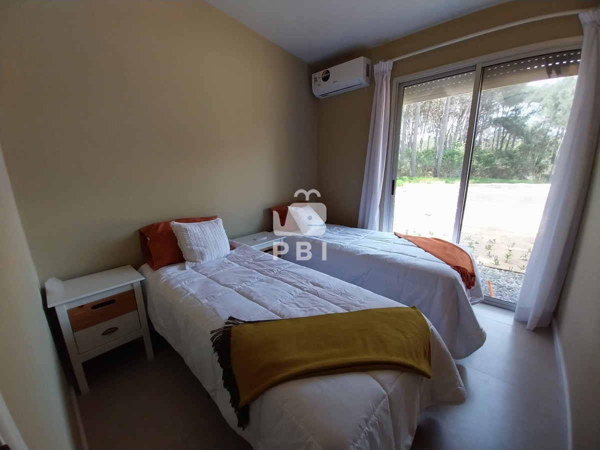 Chihuahua - GoPunta - Portal Inmobiliario de Punta del Este - Maldonado