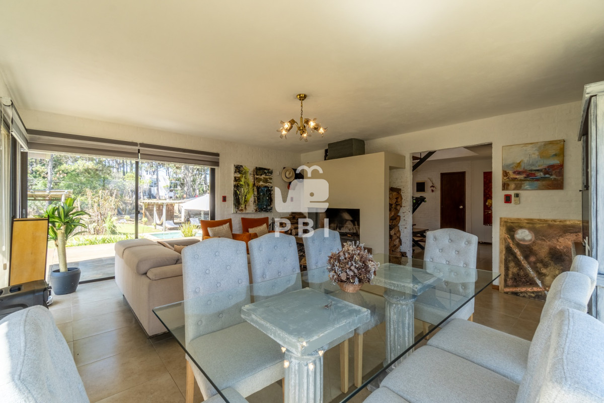 Chihuahua - GoPunta - Portal Inmobiliario de Punta del Este - Maldonado