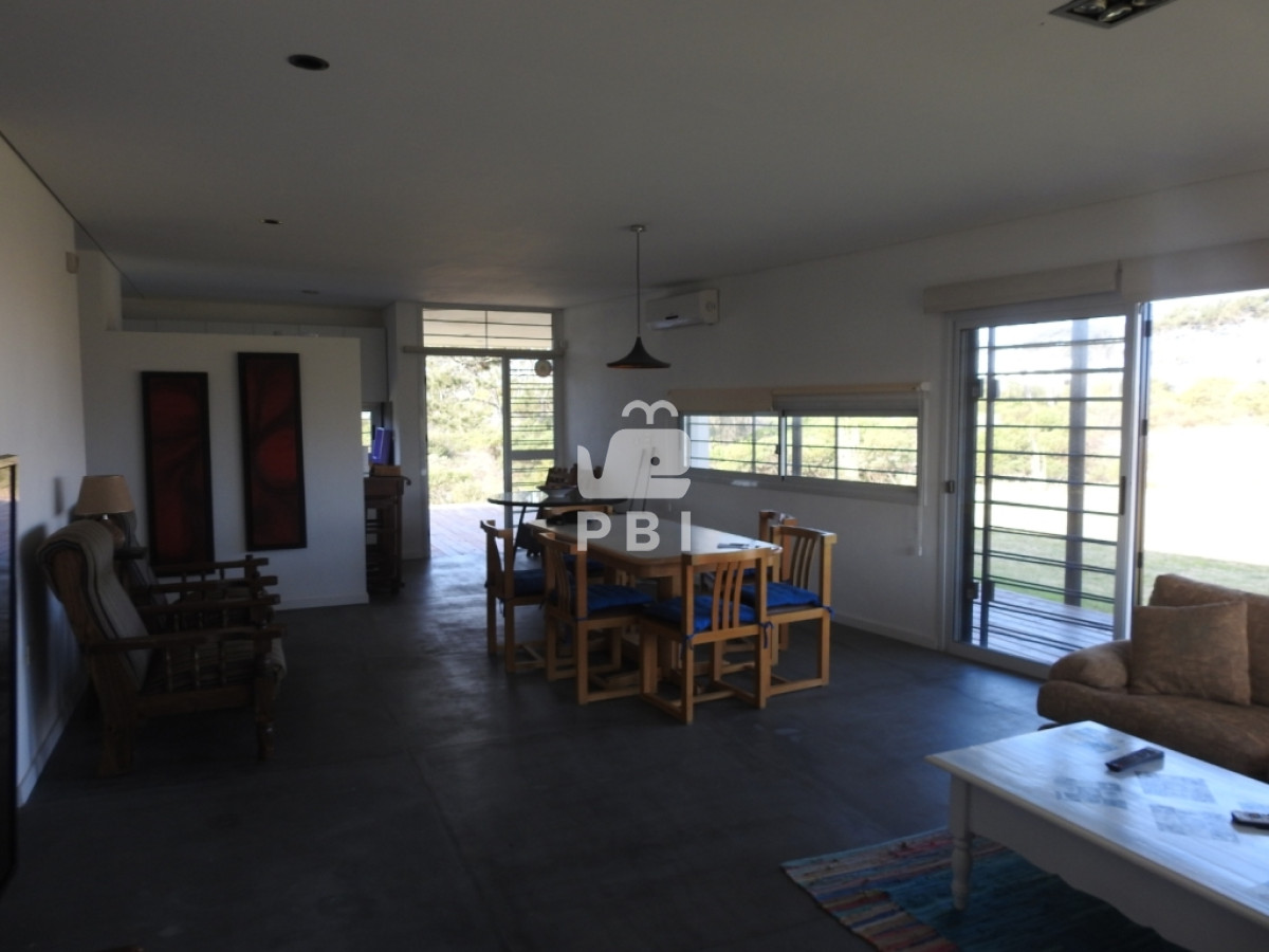 Chihuahua - GoPunta - Portal Inmobiliario de Punta del Este - Maldonado