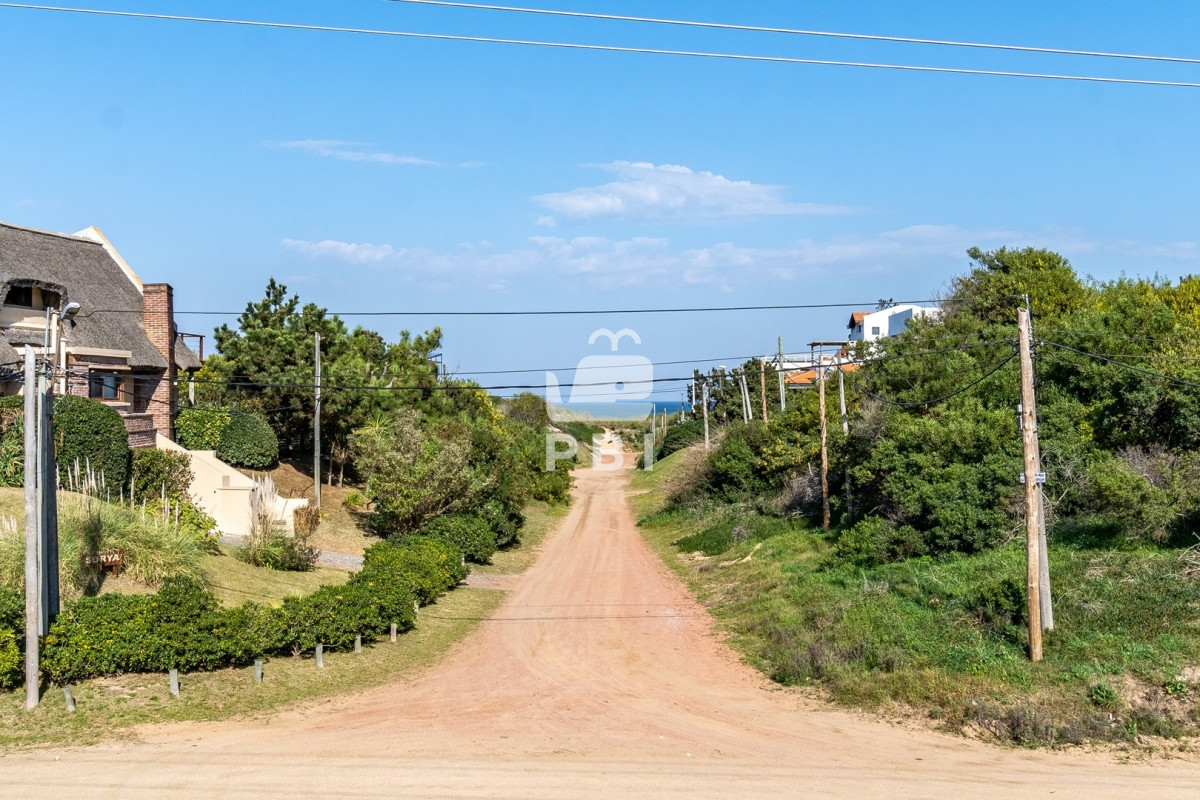 Tio Tom - GoPunta - Portal Inmobiliario de Punta del Este - Maldonado