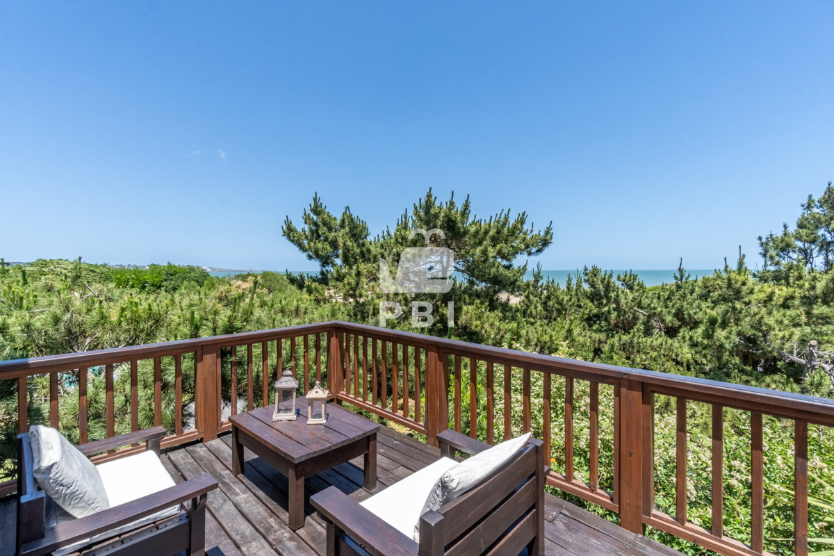 Tio Tom - GoPunta - Portal Inmobiliario de Punta del Este - Maldonado