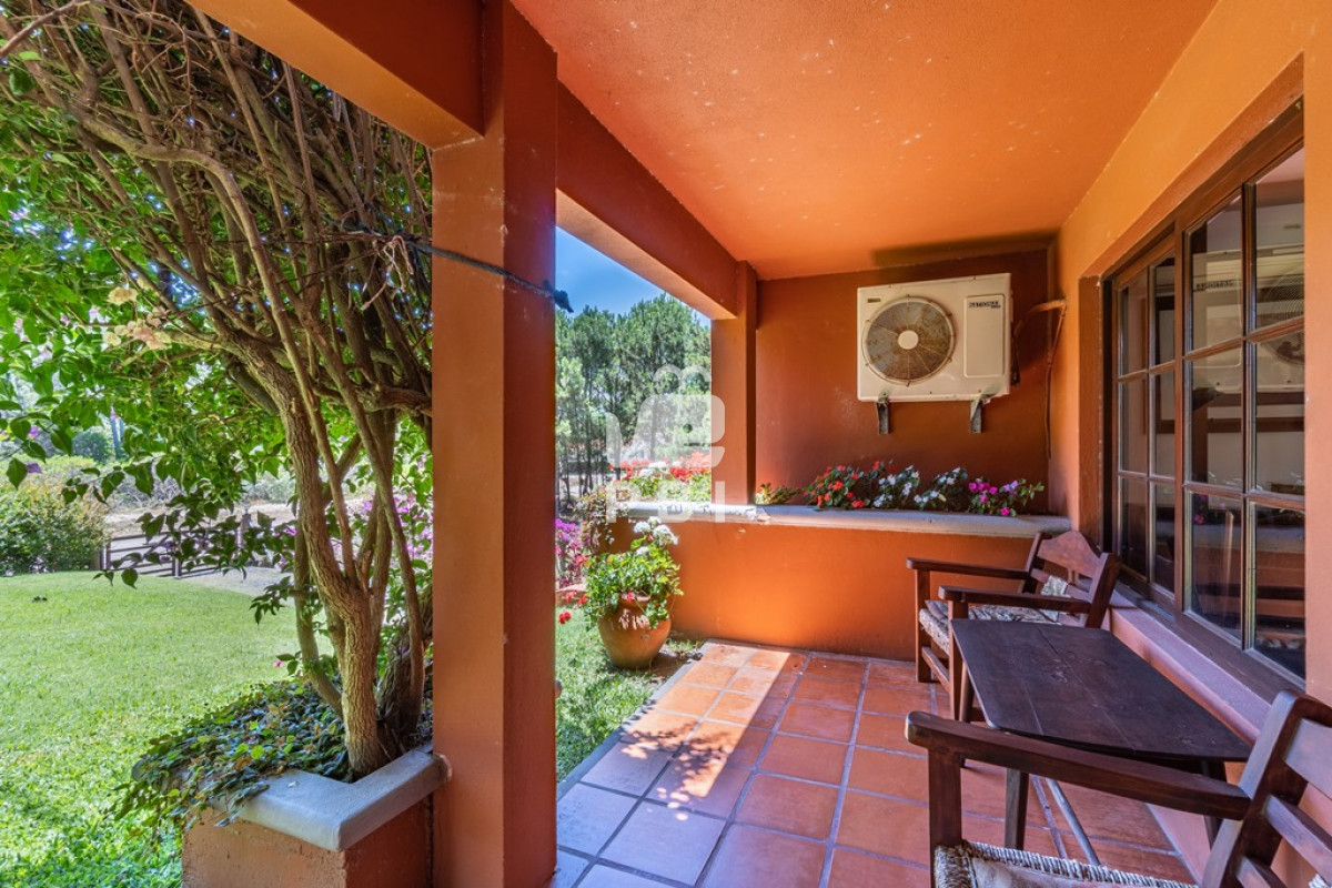 Tio Tom - GoPunta - Portal Inmobiliario de Punta del Este - Maldonado