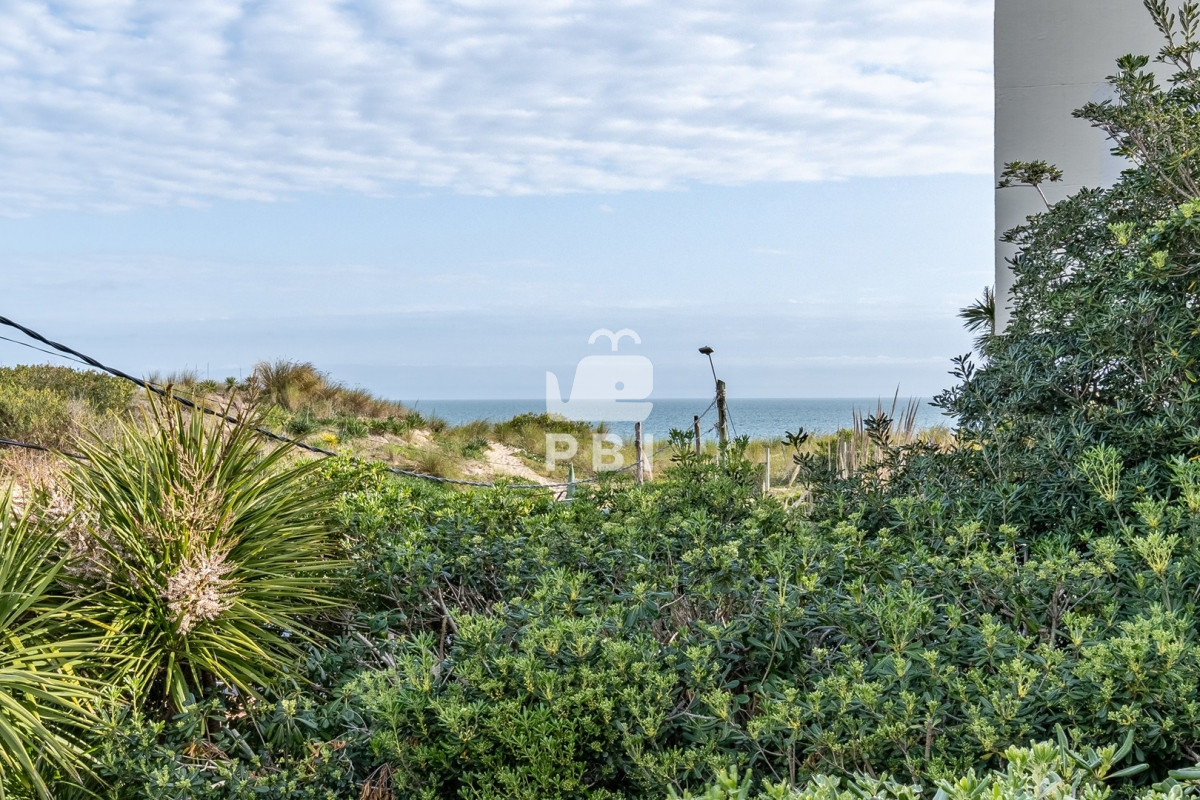 Tio Tom - GoPunta - Portal Inmobiliario de Punta del Este - Maldonado
