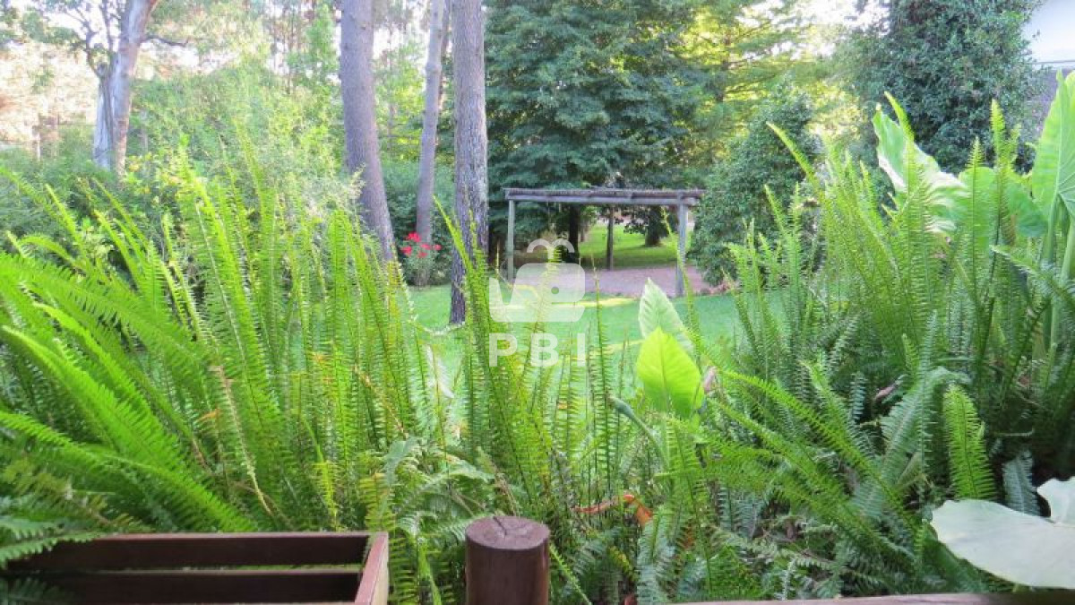 Q2FzYSA0IERPUk1JVE9SSU9TIGVuIFBvcnRlenVlbG8gQm9zcXVlLCBQdW50YSBCYWxsZW5hIC0gUmVmIDogUEJJMTIwMQ==