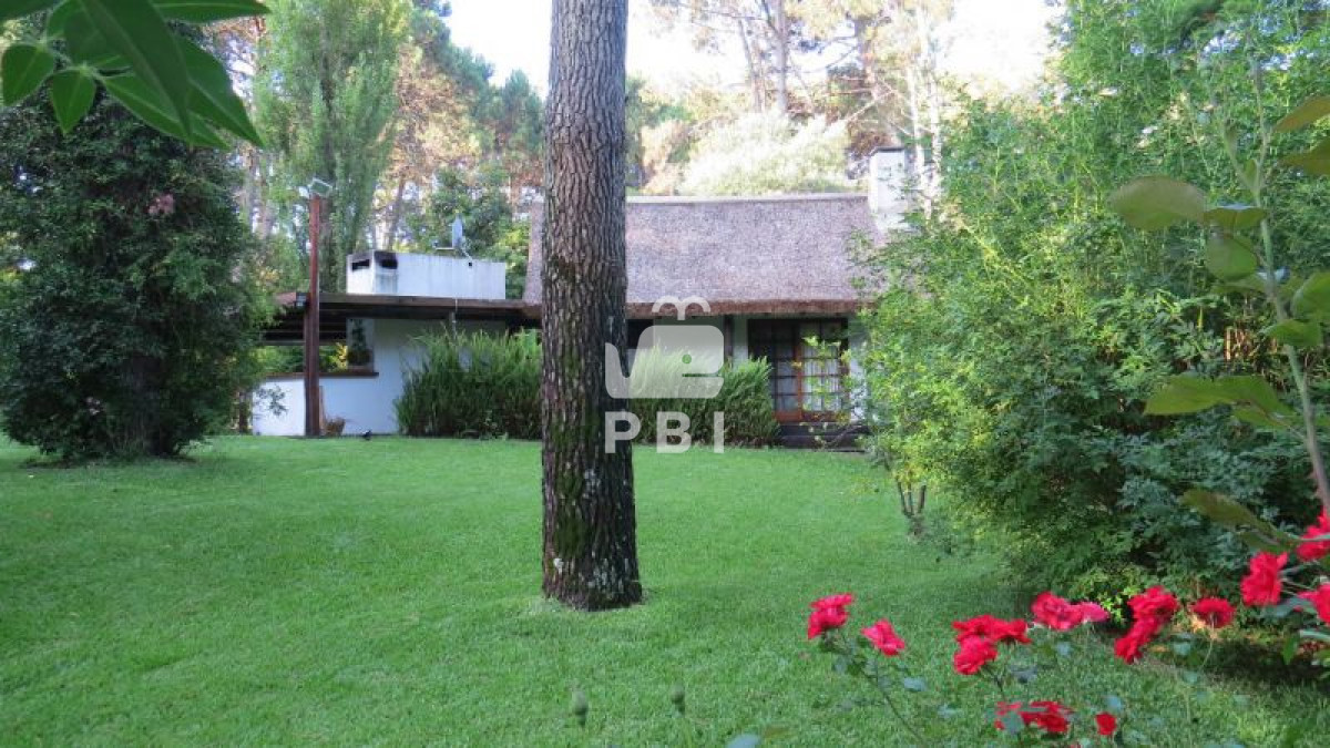 Q2FzYSA0IERPUk1JVE9SSU9TIGVuIFBvcnRlenVlbG8gQm9zcXVlLCBQdW50YSBCYWxsZW5hIC0gUmVmIDogUEJJMTIwMQ==