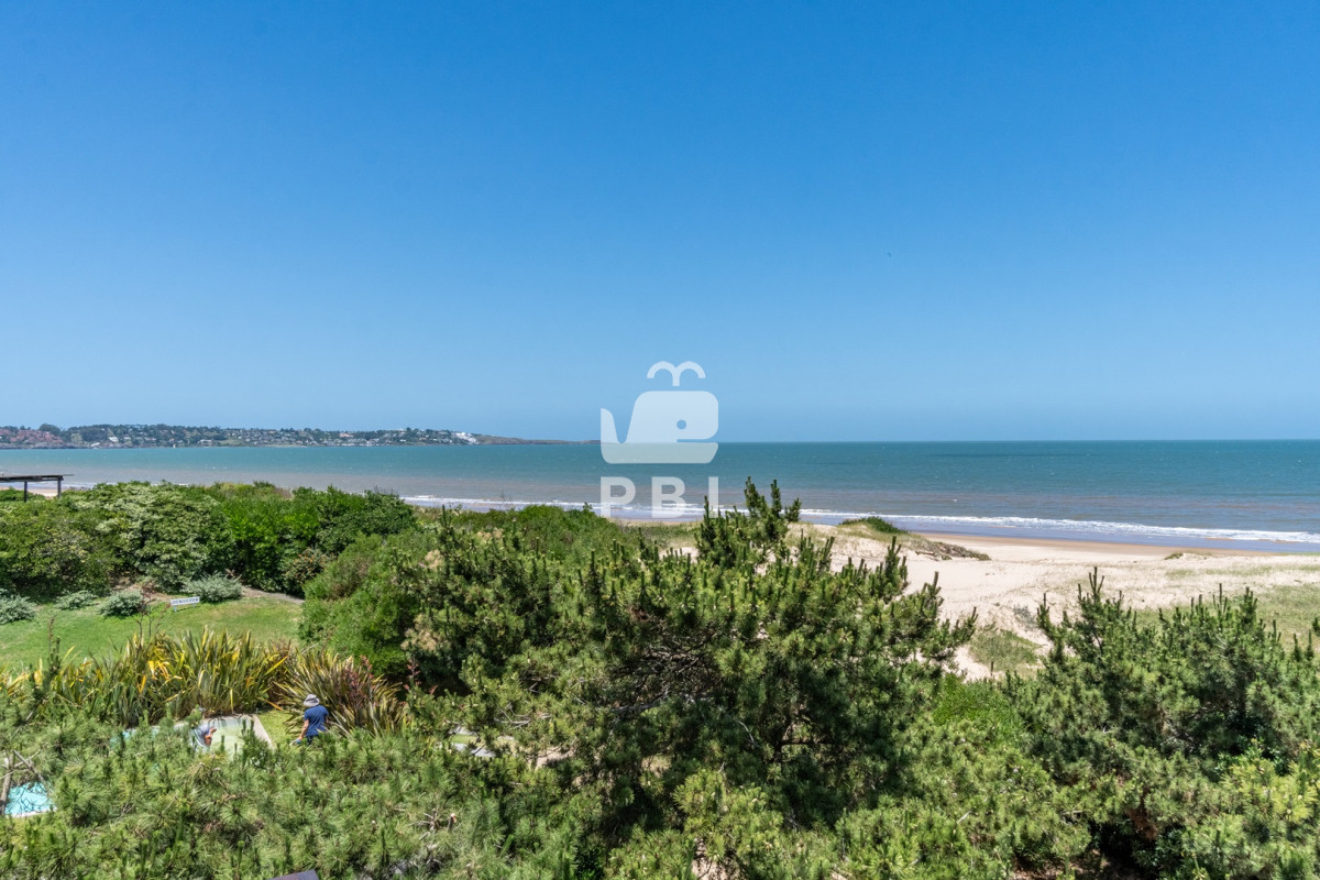 Tio Tom - GoPunta - Portal Inmobiliario de Punta del Este - Maldonado