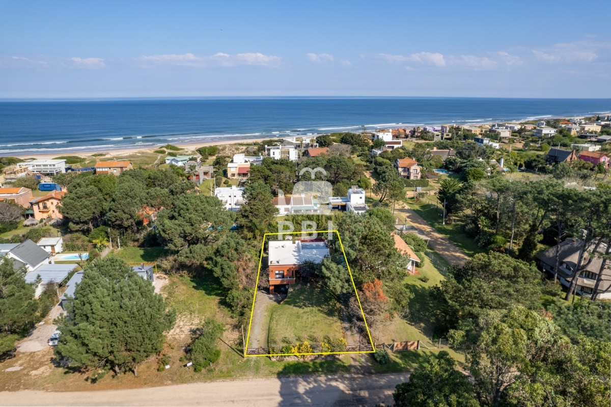 Tio Tom - GoPunta - Portal Inmobiliario de Punta del Este - Maldonado