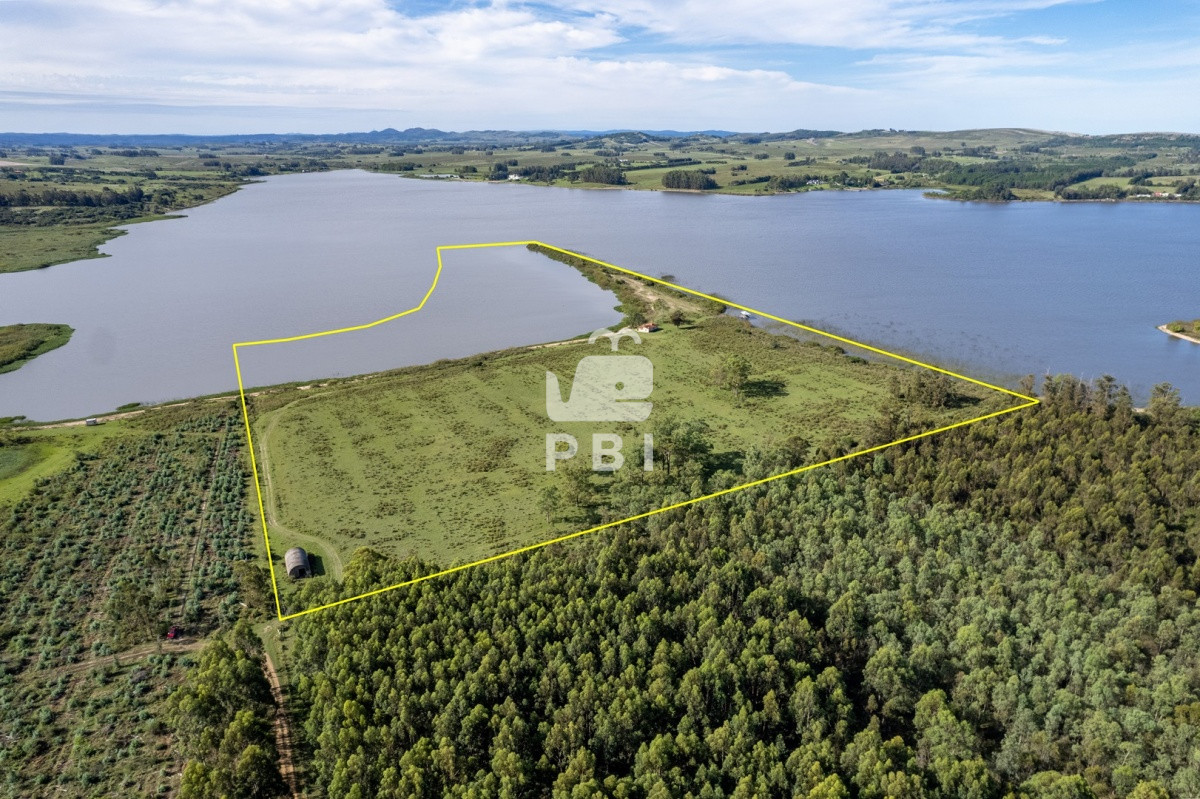 Chacra sobre Laguna del Sauce con costa, de 18 HA - Ref : PBI3119