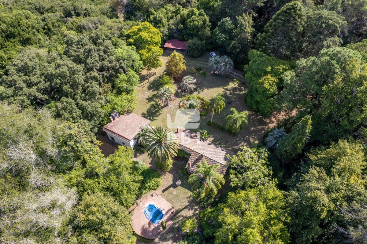 Las Flores - GoPunta - Portal Inmobiliario de Punta del Este - Maldonado