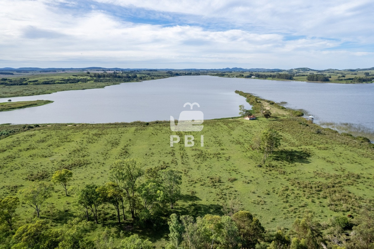 Laguna del Sauce - GoPunta - Portal Inmobiliario de Punta del Este - Maldonado