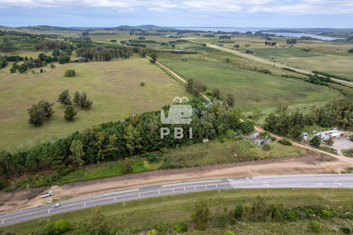 Punta Ballena - GoPunta - Portal Inmobiliario de Punta del Este - Maldonado