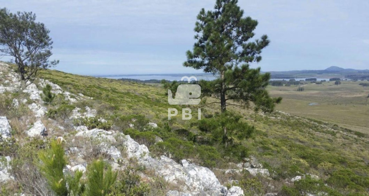 Punta Ballena - GoPunta - Portal Inmobiliario de Punta del Este - Maldonado