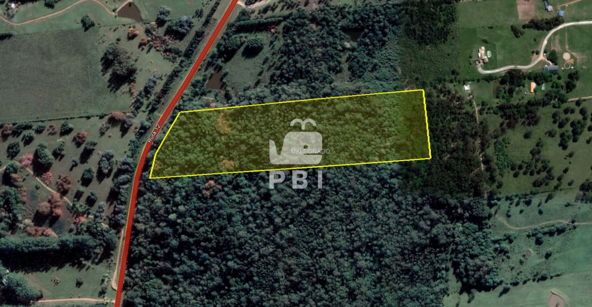 Laguna del Sauce - GoPunta - Portal Inmobiliario de Punta del Este - Maldonado