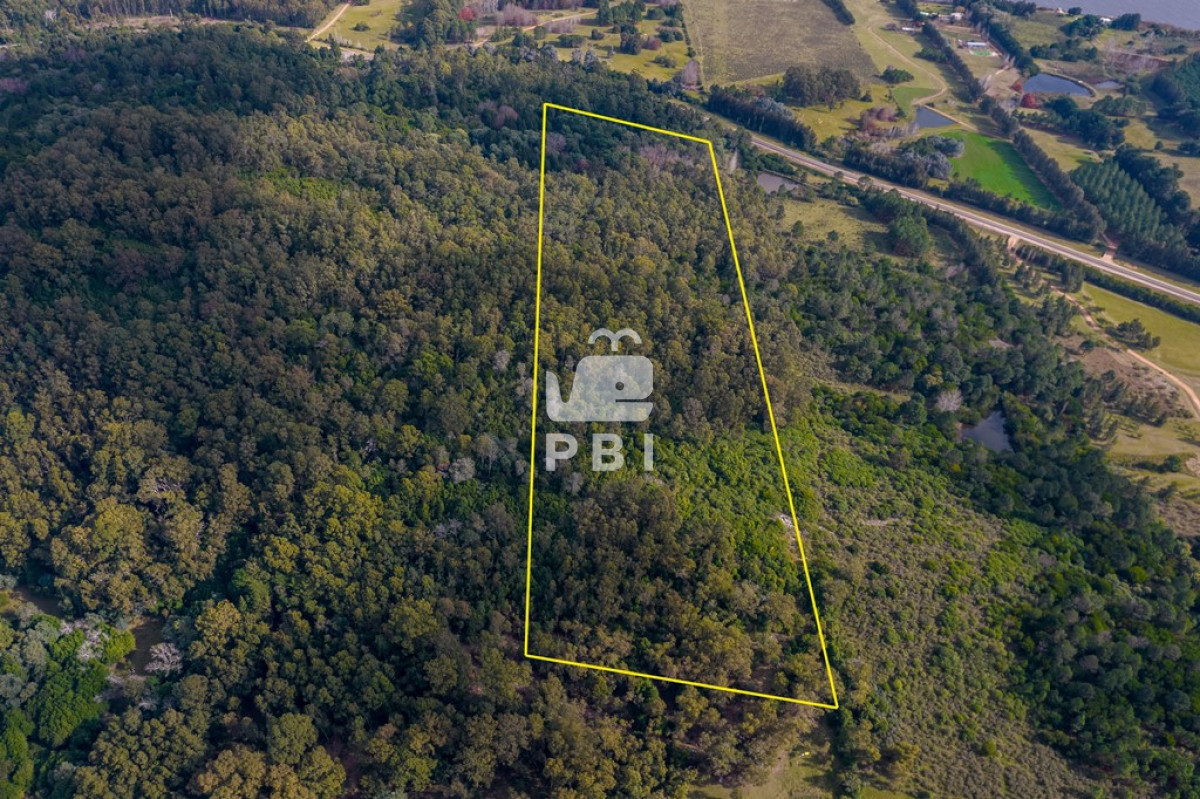 Laguna del Sauce - GoPunta - Portal Inmobiliario de Punta del Este - Maldonado