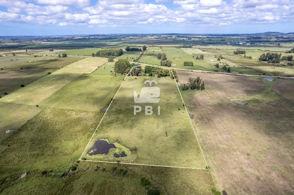 Punta Ballena - GoPunta - Portal Inmobiliario de Punta del Este - Maldonado