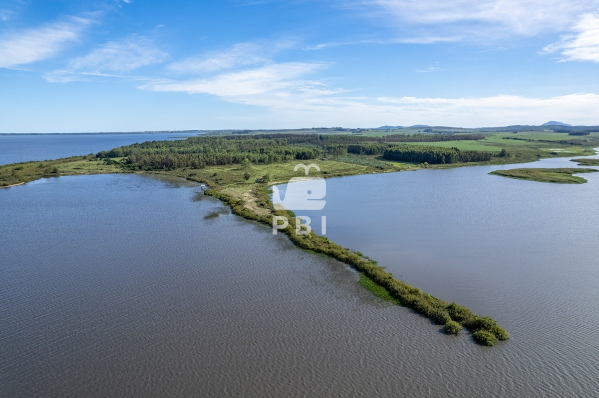Laguna del Sauce - GoPunta - Portal Inmobiliario de Punta del Este - Maldonado